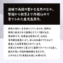 鹿児島黒牛 カルビ バラ肉 スライス A4ランク 等級以上 500g 厳選 前バラ 牛肉 黒毛和種 ブランド牛 脂身 焼きしゃぶしゃぶ すき焼き 牛丼 【納期E】【nk00000128】
