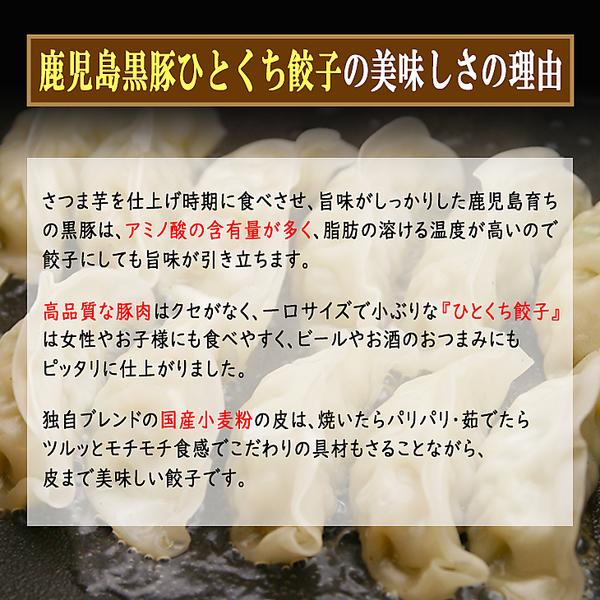 ギョウザ 餃子 黒豚 鹿児島 ギョーザ 冷凍ぎょうざ ひとくち