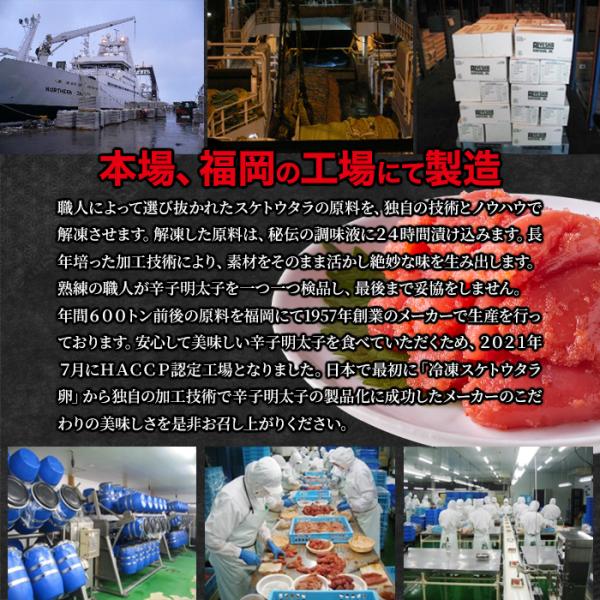 めんたいこ 1kg 明太子 辛子明太子 訳あり 破れ 形崩れ 福岡製造 天日塩 水素水 白だし 美味しい 明太 めんたい ご飯の友 お供 お酒のあて 【納期E】【nk00000133】
