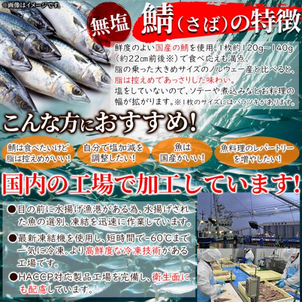 鯖 さば フィレ 無塩 1kg 食塩不使用 冷凍 三枚卸し 国産 北海道