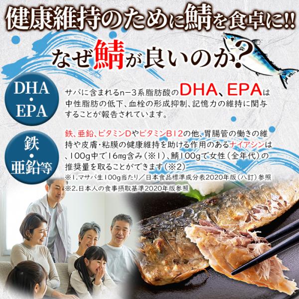 鯖 さば フィレ 無塩 1kg 食塩不使用 冷凍 三枚卸し 国産 北海道