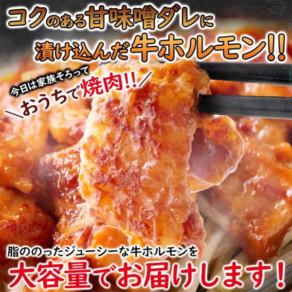 ホルモン 牛ホルモン 味噌 みそ味 焼肉 焼き肉 味付け済み 味付き 牛大腸 シマチョウ 牛肉 大容量 1kg もつ煮風 野菜炒め もつ鍋風 BBQ 【納期E】【nk00000137】