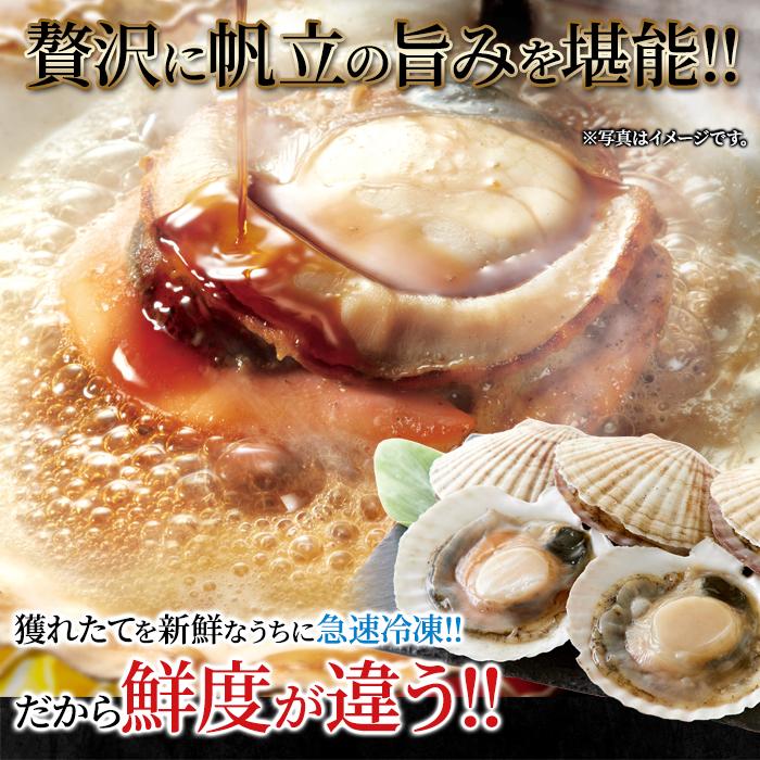 ほたて ホタテ 貝 帆立 北海道産 両貝付き 3kg 急速冷凍 新鮮 鮮度 貝柱 刺身 バーベキュー ギフト 熨斗 お中元 御歳暮 贈り物 御礼 お祝い 【納期E】【nk00000139】