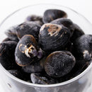 しじみ 大粒 国産 冷凍 宍道湖 大和シジミ しじみ貝 大きい 貝 殻付き ミネラル豊富 砂抜き不要 酒蒸し 炊き込みご飯 みそ汁 大容量 1kg 【納期E】【nk00000140】