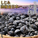 しじみ 大粒 国産 冷凍 宍道湖 大和シジミ しじみ貝 大きい 貝 殻付き ミネラル豊富 砂抜き不要 酒蒸し 炊き込みご飯 みそ汁 大容量 1kg 【納期E】【nk00000140】