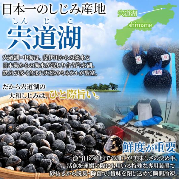 しじみ 大粒 国産 冷凍 宍道湖 大和シジミ しじみ貝 大きい 貝 殻付き ミネラル豊富 砂抜き不要 酒蒸し 炊き込みご飯 みそ汁 大容量 1kg