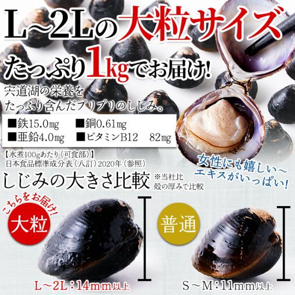 しじみ 大粒 国産 冷凍 宍道湖 大和シジミ しじみ貝 大きい 貝 殻付き ミネラル豊富 砂抜き不要 酒蒸し 炊き込みご飯 みそ汁 大容量 1kg