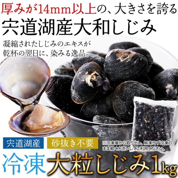 しじみ 大粒 国産 冷凍 宍道湖 大和シジミ しじみ貝 大きい 貝 殻付き ミネラル豊富 砂抜き不要 酒蒸し 炊き込みご飯 みそ汁 大容量 1kg
