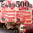 山形牛 切り落とし A5ランク A5等級 和牛 牛肉 500g 霜降り 無線別 部位 きめ細かい 国産 ブランド牛 黒毛和牛 牛丼 肉じゃが 炒め物 焼肉 【納期E】【nk00000145】