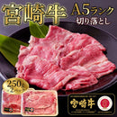宮崎牛 切り落とし A5ランク A5等級 和牛 牛肉 500g 霜降り 脂身 赤身 無線別 部位 きめ細かい ブランド牛 黒毛和牛 牛丼 肉じゃが 炒め物 【納期E】【nk00000146】