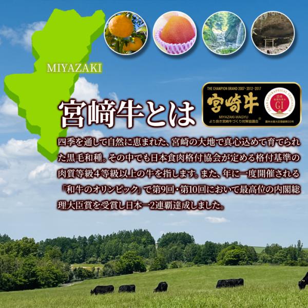宮崎牛 切り落とし A5ランク A5等級 和牛 牛肉 500g 霜降り 脂身 赤身 無線別 部位 きめ細かい ブランド牛 黒毛和牛 牛丼 肉じゃが 炒め物 【納期E】【nk00000146】