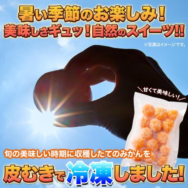 冷凍みかん 皮むき 訳あり 美味しい 蜜柑 ミカン 冷凍 皮なし