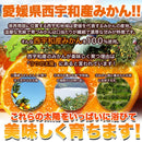 冷凍みかん 皮むき 500g 訳あり 大きさ不揃い 無選別 美味しい 蜜柑 ミカン 冷凍 冷凍フルーツ 愛媛県 西宇和産 甘い 皮なし 剥き 自然解凍 【納期E】【nk00000153】