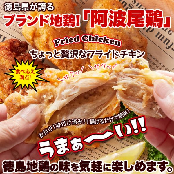 フライドチキン 手羽元 国産 味付き 骨付き 阿波尾鳥 地鶏 徳島県 冷凍 美味しい 大容量 ホームパーティ 誕生日 味付け済み 鶏肉 鳥肉 【納期E】【nk00000157】