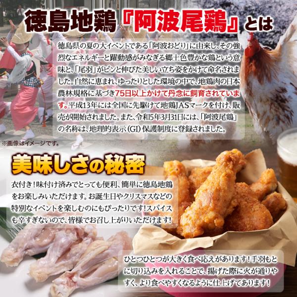 フライドチキン 手羽元 国産 味付き 骨付き 阿波尾鳥 地鶏 徳島県 冷凍 美味しい 大容量 ホームパーティ 誕生日 味付け済み 鶏肉 鳥肉 【納期E】【nk00000157】