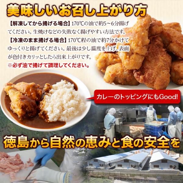 フライドチキン 手羽元 国産 味付き 骨付き 阿波尾鳥 地鶏 徳島県 冷凍 美味しい 大容量 ホームパーティ 誕生日 味付け済み 鶏肉 鳥肉 【納期E】【nk00000157】