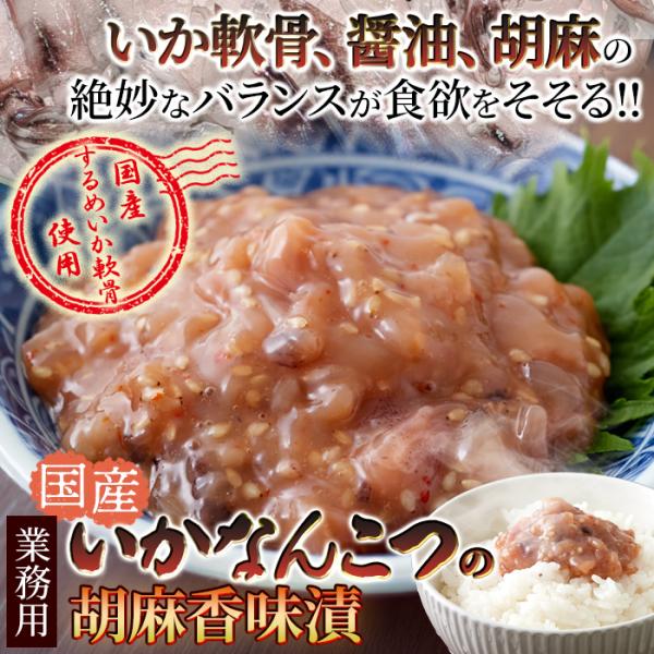 いか胡麻香味漬 イカ なんこつ 軟骨 ゴマ香味付け スルメイカ ご飯のお供 おかず こうみ 香味 烏賊 おつまみ 肴 業務用 大容量 500g 冷凍