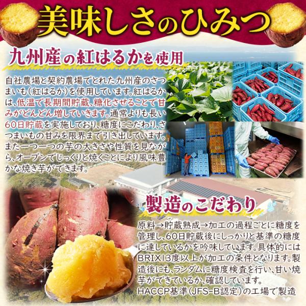 焼き芋 冷凍 やきいも ヤキイモ 焼いも 紅はるか 糖化熟成 九州産 レンジ チンするだけ 温めるだけ 濃厚 甘い カット おやつ 大容量 1kg 【納期E】【nk00000162】