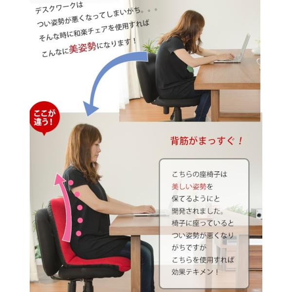 座椅子 コンパクト 椅子の上で使える Mサイズ 【納期C】【sgl-10108】