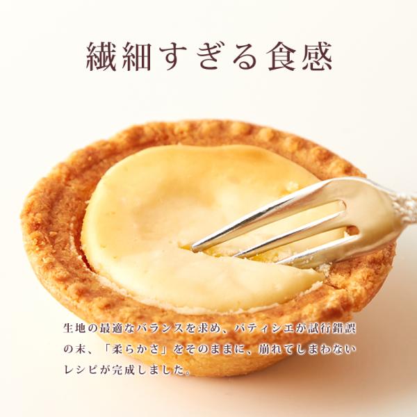 チーズタルト 1kg 訳あり 北海道 原材料 国産 チーズケーキ 濃厚 スイーツ タルト生地 生クリーム クリームチーズ お菓子 個包装 大容量 【納期E】【sm00010002】