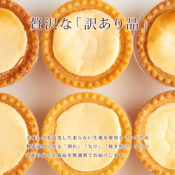 チーズタルト 1kg 訳あり 北海道 原材料 国産 チーズケーキ 濃厚 スイーツ タルト生地 生クリーム クリームチーズ お菓子 個包装 大容量 【納期E】【sm00010002】