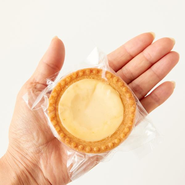 チーズタルト 1kg 訳あり 北海道 原材料 国産 チーズケーキ 濃厚 スイーツ タルト生地 生クリーム クリームチーズ お菓子 個包装 大容量 【納期E】【sm00010002】