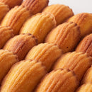 マドレーヌ 1kg 訳あり 国産 国内製造 洋菓子 お菓子 スイーツ 小分け 個包装 バター 美味しい シェル型 パティシエ 大容量 焼き菓子 【納期E】【sm00010010】