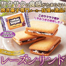 レーズンサンド 洋菓子 クッキー ビスケット レーズン 柔らかい ラムレーズン ラム酒 レーズンサンドクッキー 国産 大容量 国内製造 おやつ 【納期E】【sm00010022】