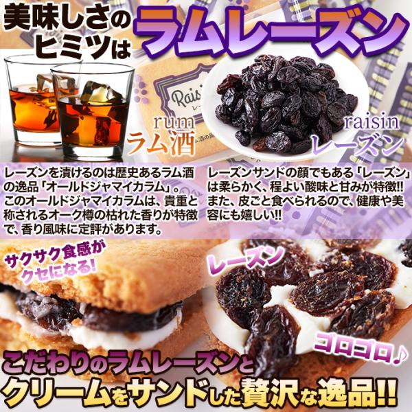 レーズンサンド 洋菓子 クッキー ビスケット レーズン 柔らかい ラムレーズン ラム酒 レーズンサンドクッキー 国産 大容量 国内製造 おやつ 【納期E】【sm00010022】