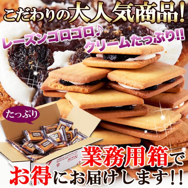 レーズンサンド 洋菓子 クッキー ビスケット レーズン 柔らかい ラムレーズン ラム酒 レーズンサンドクッキー 国産 大容量 国内製造 おやつ 【納期E】【sm00010022】