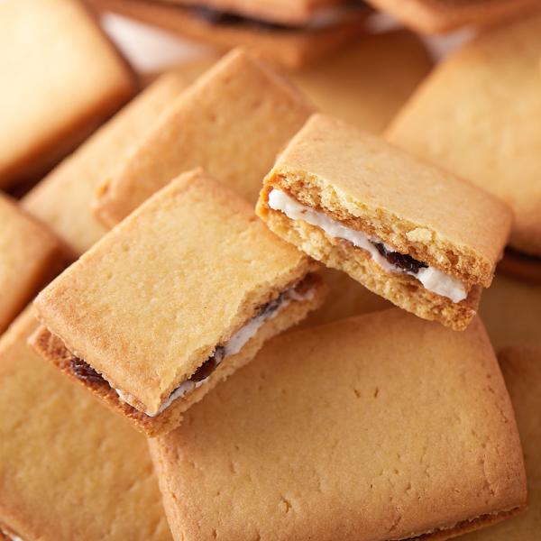 レーズンサンド 洋菓子 クッキー ビスケット レーズン 柔らかい ラムレーズン ラム酒 レーズンサンドクッキー 国産 大容量 国内製造 おやつ 【納期E】【sm00010022】