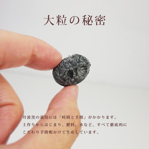 甘納豆 訳あり 無添加 国産 無選別 黒豆 しぼり甘納豆 黒大豆 甘さ控えめ やわらか ヘルシー 和菓子 お茶請け おやつ タンパク質 ビタミン 【納期E】【sm00010036】