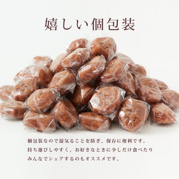 人形焼 訳あり 個包装 60個 人形焼き 浅草 浅草寺 東京土産 和菓子 カステラ 餡 こしあん あんこ 餡子 茶菓子 おやつ 国内製造 大容量 【納期E】【sm00010039】