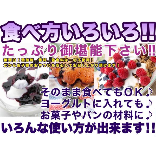 ブルーベリー 1kg 野生種 ワイルドブルーベリー 大容量 ドライフルーツ 乾燥果実 アメリカ 希少 アントシアニン ポリフェノール 健康 美容 【納期E】【sm00010048】