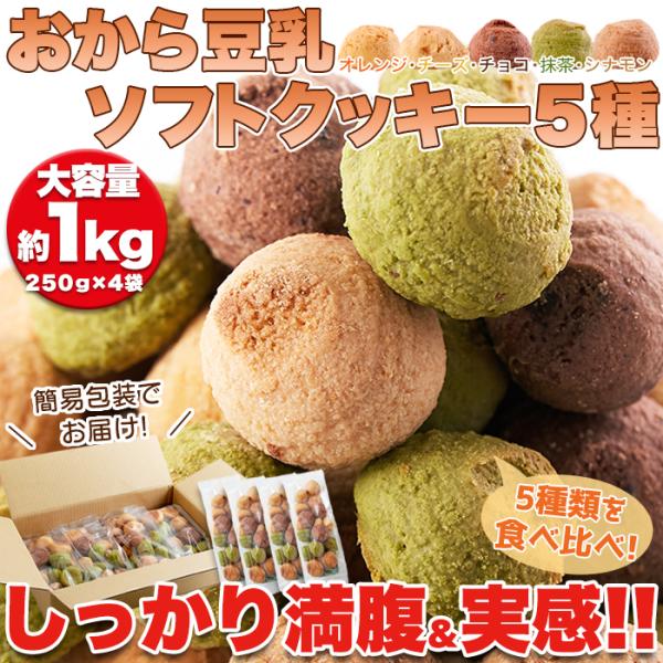 おから豆乳クッキー 1kg 大量 ダイエット ソフトクッキー チョコ