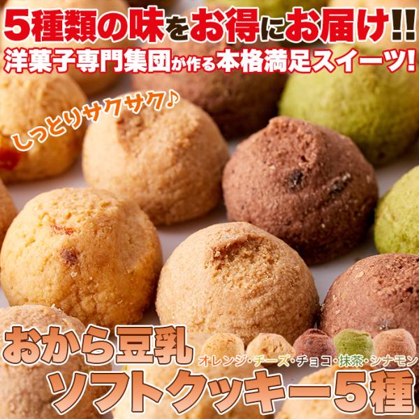 おから豆乳クッキー 1kg 大量 ダイエット ソフトクッキー チョコ