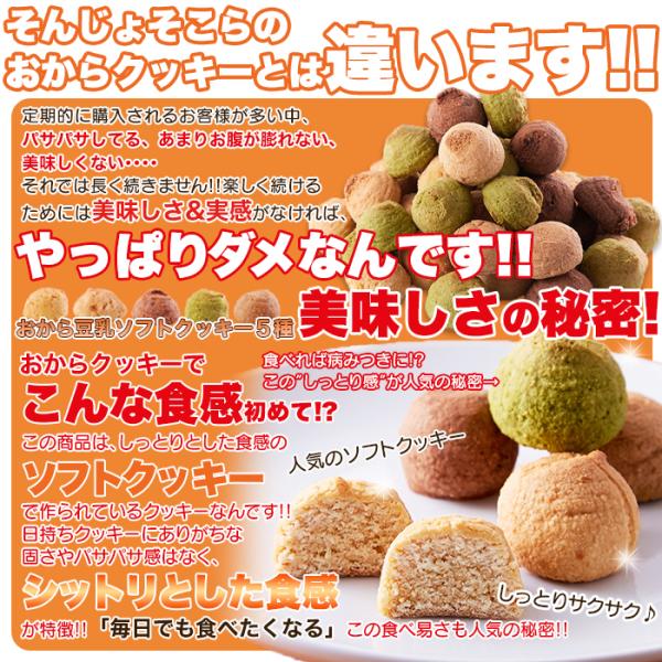 おから豆乳クッキー 1kg 大量 ダイエット ソフトクッキー チョコ