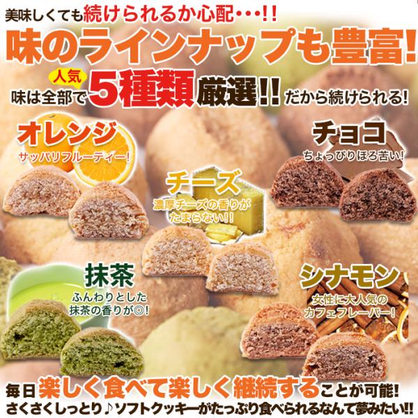 おから豆乳クッキー 1kg 大量 ダイエット ソフトクッキー チョコ