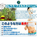 フォルスコリ サプリメント ダイエット サプリ コレウス フォースコリー フォルスコリ― フォルスコリン 運動不足 美容 健康 国産 大容量 【納期A】【sm00010080】