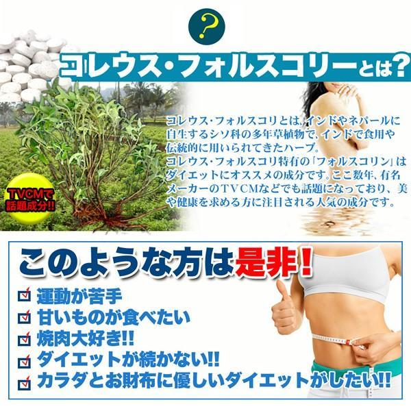 フォルスコリ サプリメント ダイエット サプリ コレウス フォースコリー フォルスコリ― フォルスコリン 運動不足 美容 健康 国産 大容量 【納期A】【sm00010080】