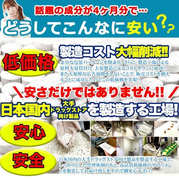 フォルスコリ サプリメント ダイエット サプリ コレウス フォースコリー フォルスコリ― フォルスコリン 運動不足 美容 健康 国産 大容量 【納期A】【sm00010080】