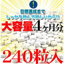 フォルスコリ サプリメント ダイエット サプリ コレウス フォースコリー フォルスコリ― フォルスコリン 運動不足 美容 健康 国産 大容量 【納期A】【sm00010080】