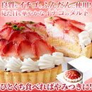 苺タルト いちごタルト ケーキ ストロベリータルト 苺ケーキ ホール 5号 冷凍 スポンジ ジュレ ピスタチオ ホイップクリーム イチゴケーキ 【納期E】【sm00010084】