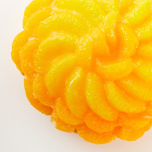 オレンジタルト みかんタルト 蜜柑タルト オレンジケーキ みかんケーキ 5号 ホール サイズ 冷凍 スポンジ ホイップクリーム 誕生日 記念日 【納期E】【sm00010086】