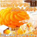 オレンジタルト みかんタルト 蜜柑タルト オレンジケーキ みかんケーキ 5号 ホール サイズ 冷凍 スポンジ ホイップクリーム 誕生日 記念日 【納期E】【sm00010086】