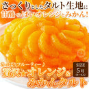 オレンジタルト みかんタルト 蜜柑タルト オレンジケーキ みかんケーキ 5号 ホール サイズ 冷凍 スポンジ ホイップクリーム 誕生日 記念日 【納期E】【sm00010086】