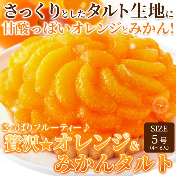 オレンジタルト みかんタルト 蜜柑タルト オレンジケーキ みかんケーキ