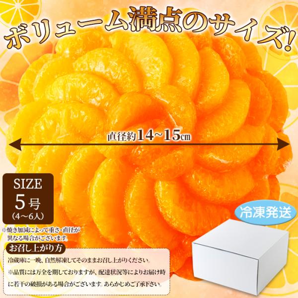 オレンジタルト みかんタルト 蜜柑タルト オレンジケーキ みかんケーキ 5号 ホール サイズ 冷凍 スポンジ ホイップクリーム 誕生日 記念日 【納期E】【sm00010086】
