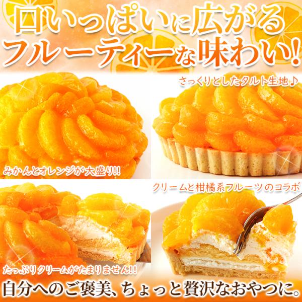 オレンジタルト みかんタルト 蜜柑タルト オレンジケーキ みかんケーキ 5号 ホール サイズ 冷凍 スポンジ ホイップクリーム 誕生日 記念日 【納期E】【sm00010086】