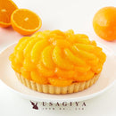 オレンジタルト みかんタルト 蜜柑タルト オレンジケーキ みかんケーキ 5号 ホール サイズ 冷凍 スポンジ ホイップクリーム 誕生日 記念日 【納期E】【sm00010086】